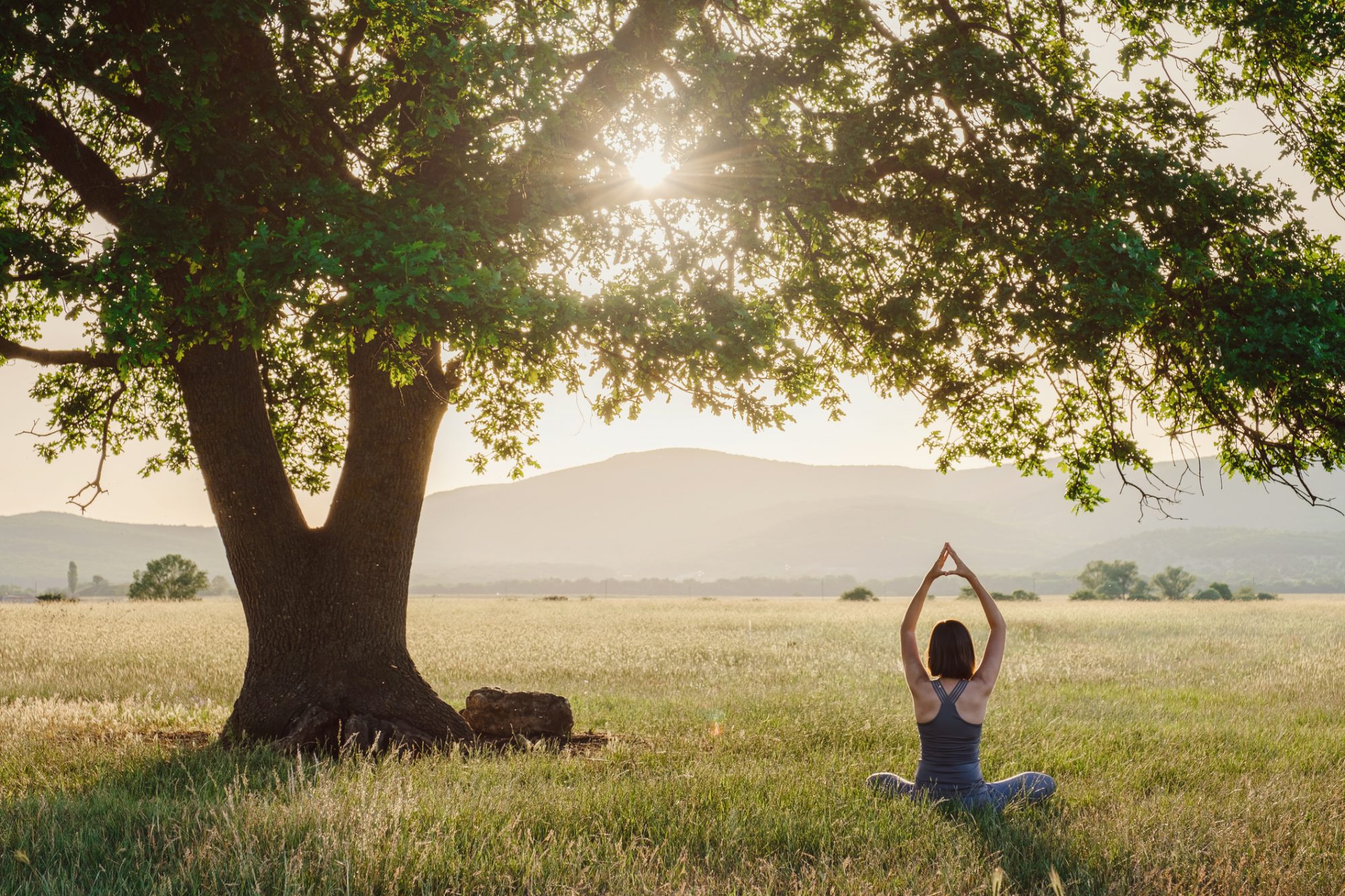 Attractive woman practices yoga in nature in summer.